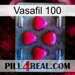 Vasafil 100 13